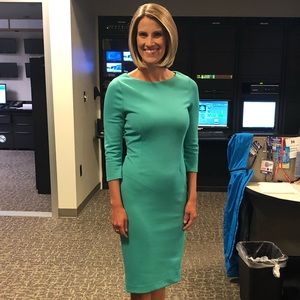 The Limited Green Midi Career Dress